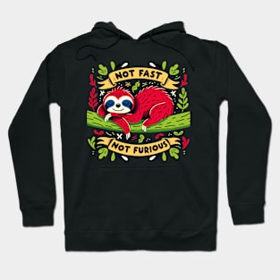 Not Fast, Not Furious - Cute Sloth Nature Hug Hoodie